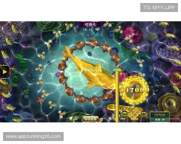 开云Kaiyun棋牌最新版本安全稳定，带来极致娱乐体验让你一玩就停不下来