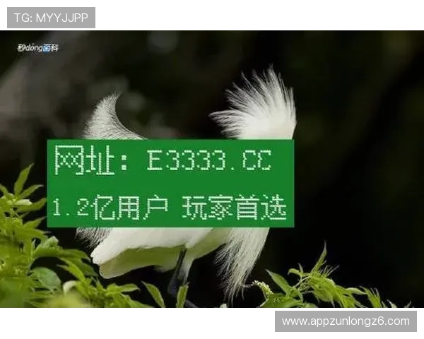 凯时官网网址官方最新更新，提供最全面的登录入口指南