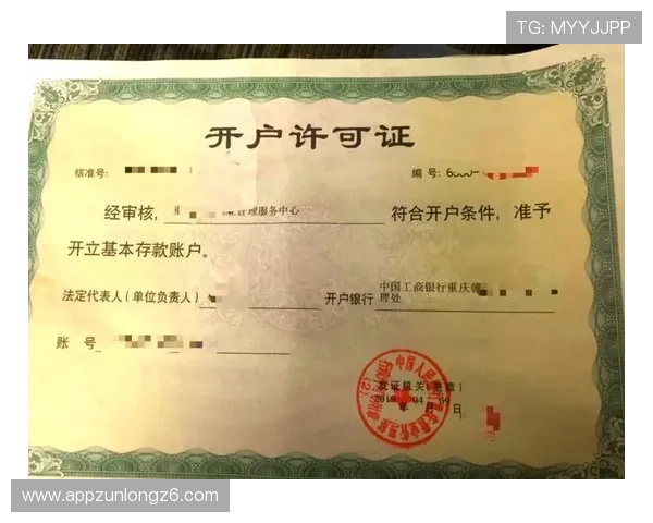 开云现金开户需要准备哪些资料和注意事项详细介绍