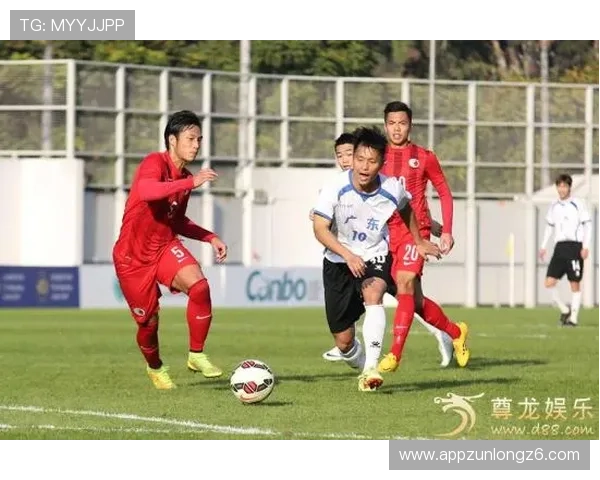 多样化的d88尊龙大厅游戏类型满足不同玩家的娱乐偏好与体验需求