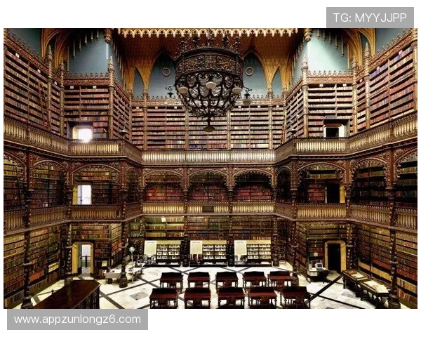 尊龙d88 z6最新网址安全稳定登录指南与最新入口推荐