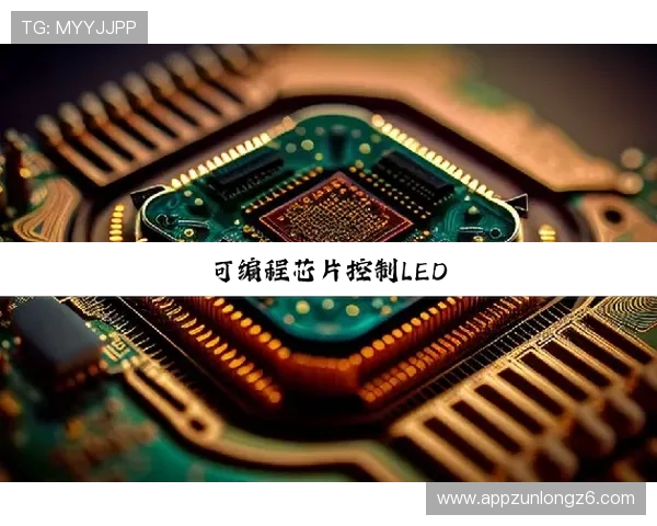 尊龙z6中国区官网入口安全登录技巧，保障账号信息安全与游戏体验