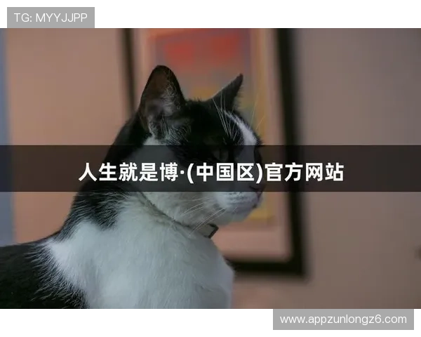 尊龙人生就是博首页安全运营指南，帮助玩家识别并防范各种网络安全威胁