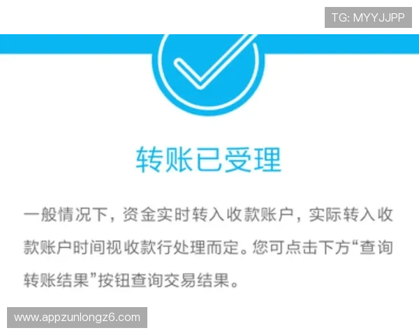 尊龙体育平台提供多种便捷的充值提现方式确保资金安全快速到账