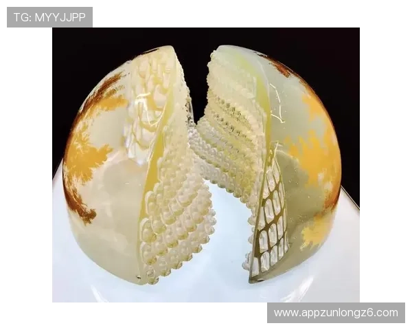 尊龙凯时网址最新入口提供安全稳定的登录体验推荐