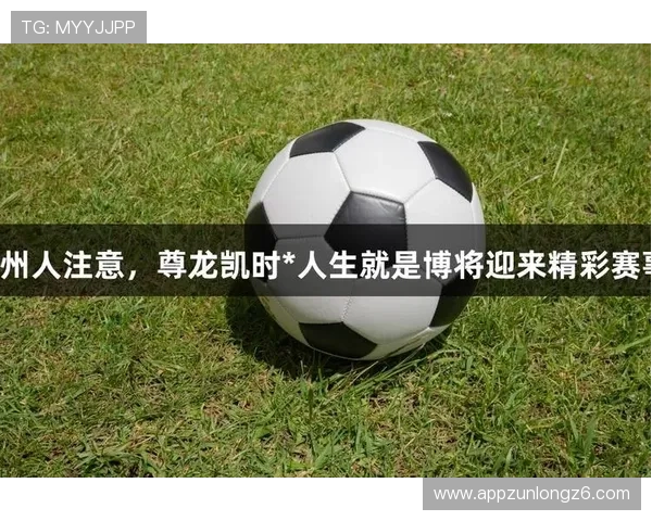 ag尊龙凯时人生就是博如何在激烈的游戏竞争中实现自我价值的最大化